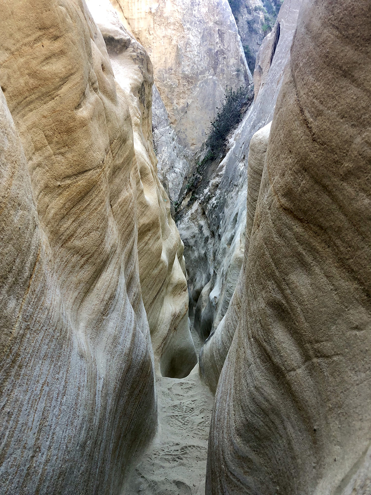 Annie's Canyon Trail