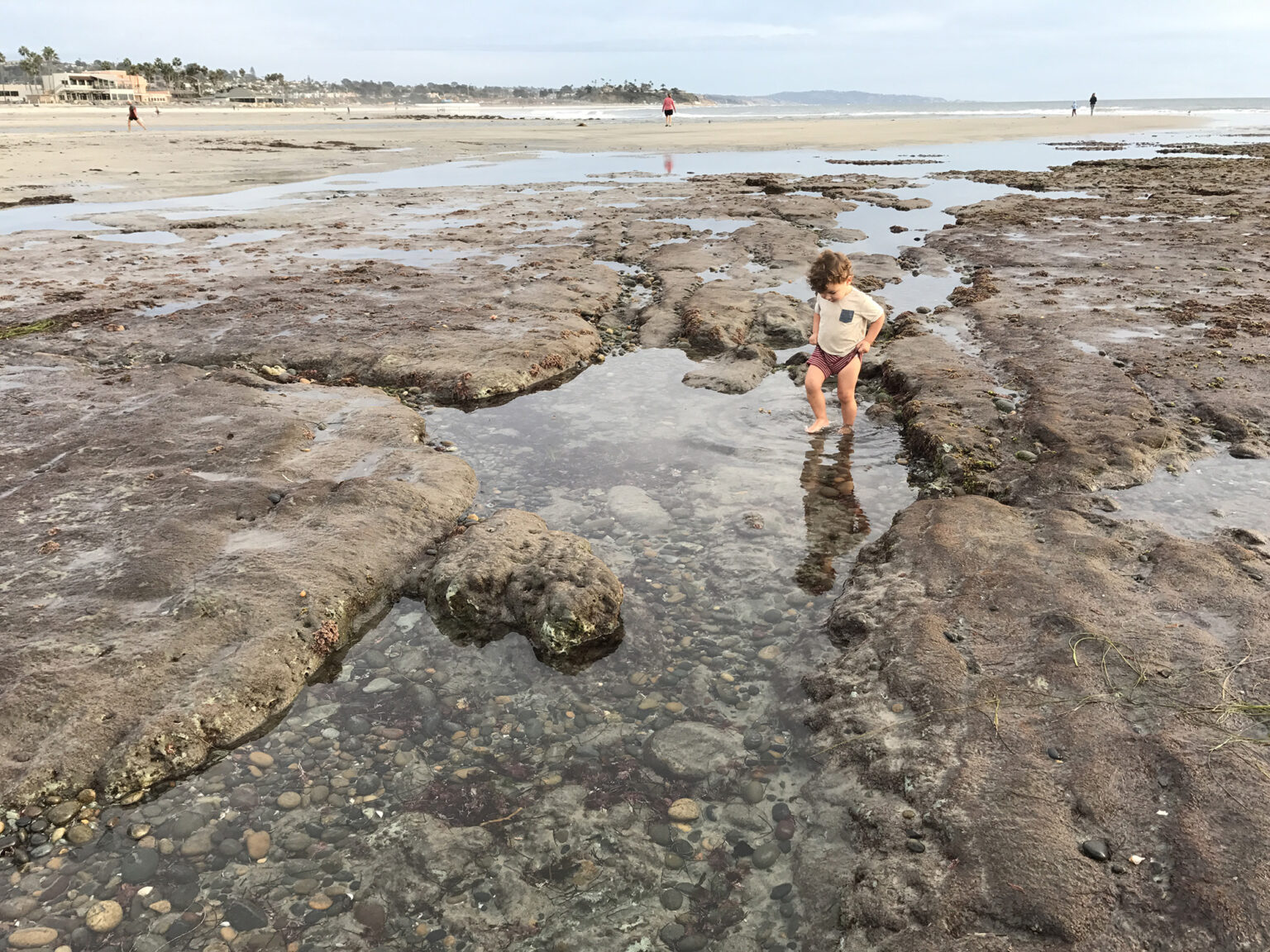 Cardiff State Beach Tidepools